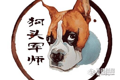 狗头军师打一准确生肖,警惕虚假宣传,科学解答解释落实