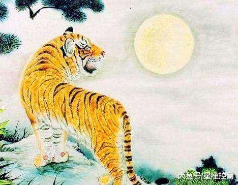 若非群玉山头见打一正确生肖、警惕虚假宣传-全面释义、构建解答解释落实
