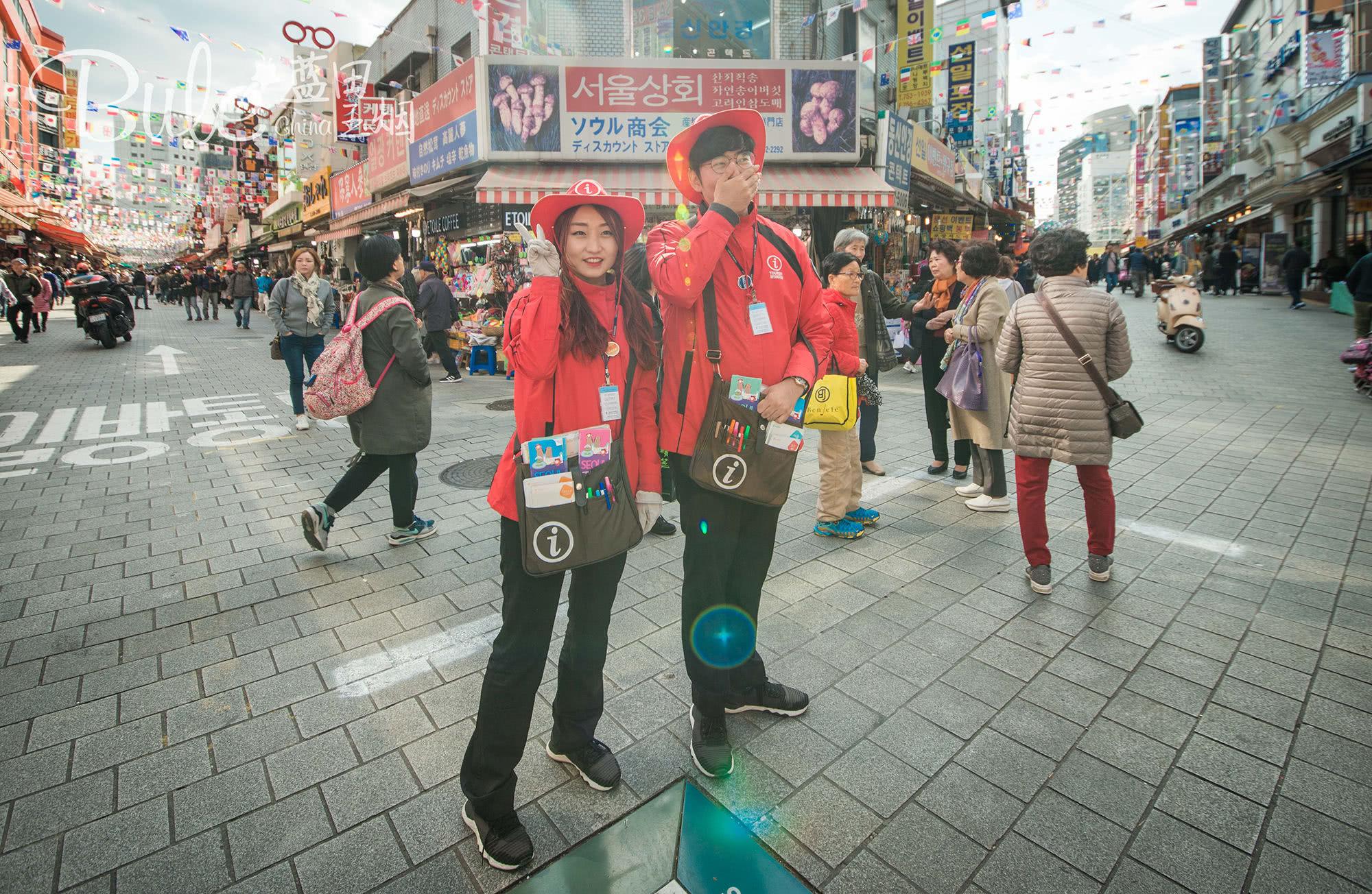 十字路口易迷失，误入歧途无所得打一个准确生肖的警惕虚假宣传-构建解答解释落实