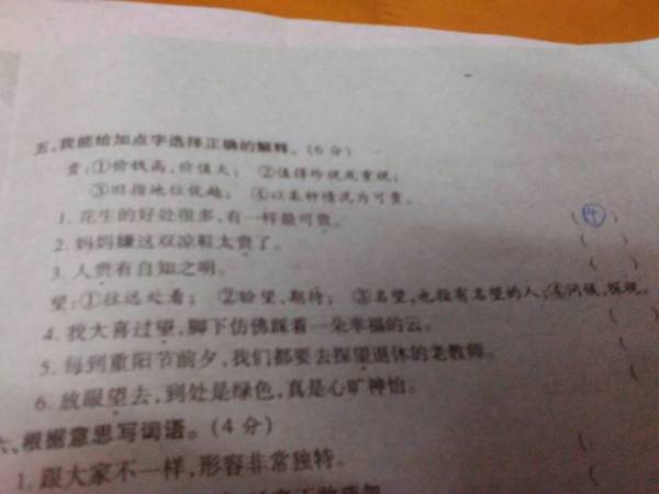 一身清白打一个准确生肖仔细释义、解释与落实、构建解答解释落实