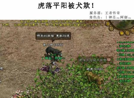 虎落平原被犬欺，古人流传有道理打一个准确生肖,警惕虚假宣传-全面释义、解释与落实、深度解答解释落实